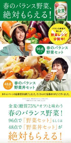 Spring Balanced Vegetables, Definitely Get Yours!