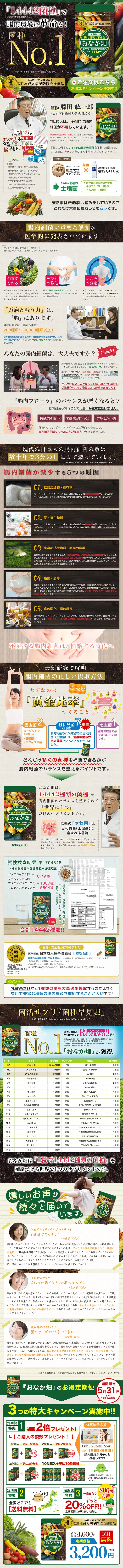 Onaka Batake LP design (Health and Beauty Foods and Supplements / Beige tones / Health and Wellness) PC version