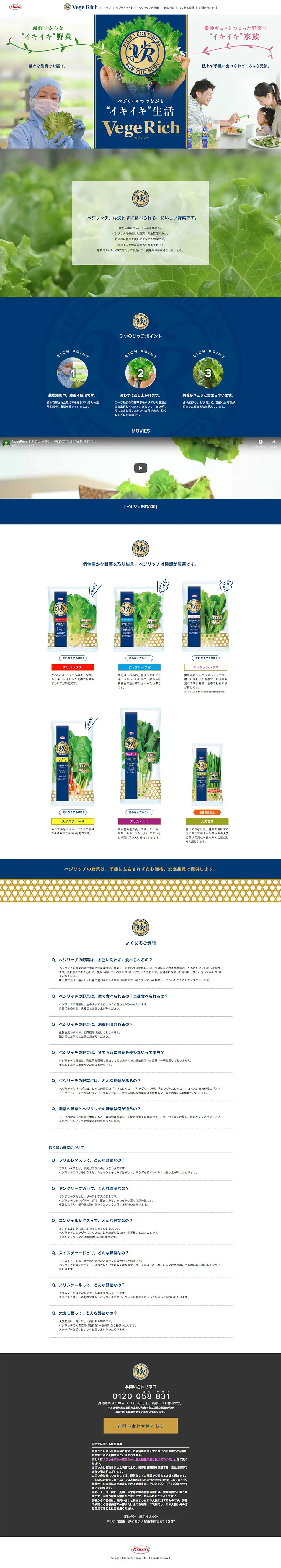 VegeRich LP design (food / Green tones / Refined style) PC version