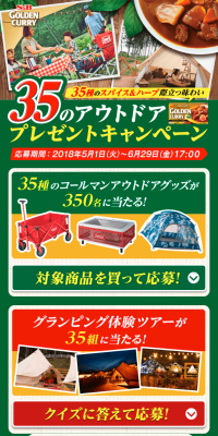 35 Outdoor Present Campaign