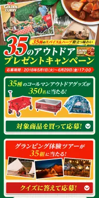 35のアウトドアプレゼントキャンペーンのLPデザイン（サービス・保険・金融／イエロー系／にぎやか系）スマホ版