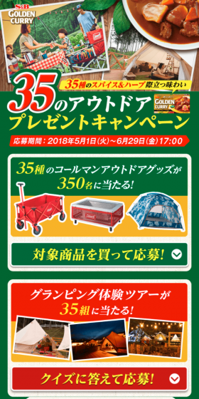 35のアウトドアプレゼントキャンペーンのLPデザイン（サービス・保険・金融／イエロー系／にぎやか系）スマホ版