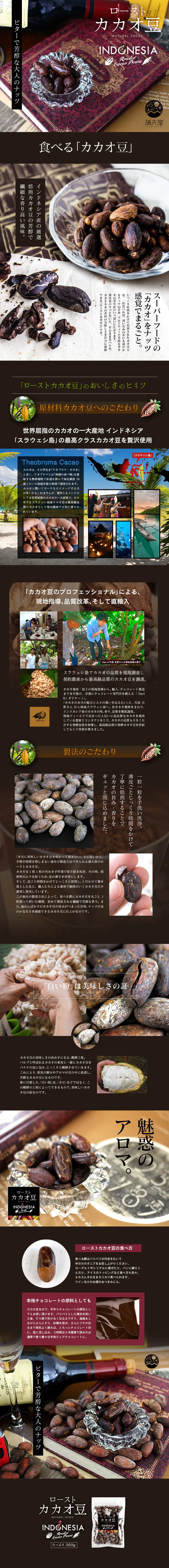 ローストカカオ豆のLPデザイン（スイーツ・スナック菓子／ブラウン系／シンプル系）PC版