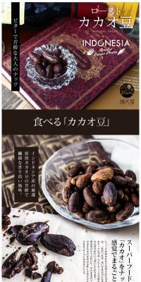 Roasted Cacao Beans