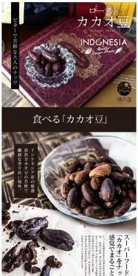 ローストカカオ豆のLPデザイン（スイーツ・スナック菓子／ブラウン系／シンプル系）スマホ版