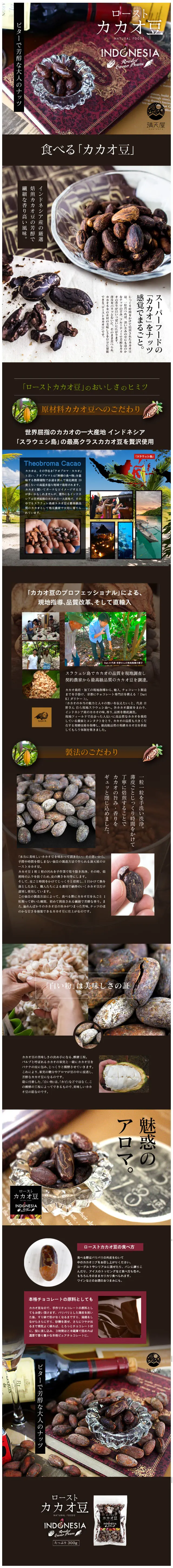 ローストカカオ豆のLPデザイン（スイーツ・スナック菓子／ブラウン系／シンプル系）スマホ版