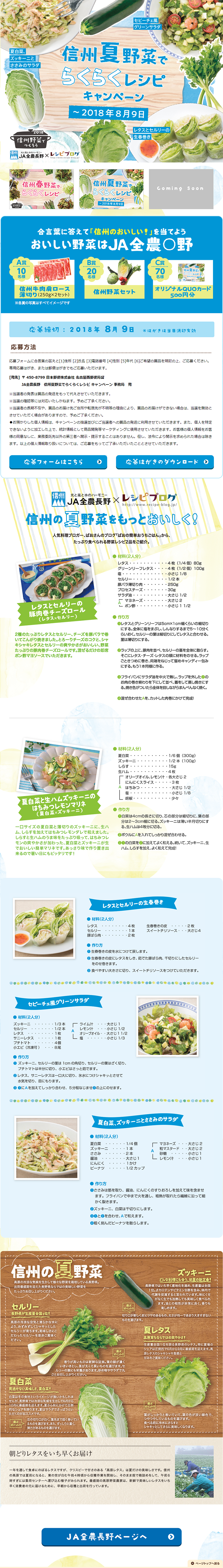 信州夏野菜でらくらくレシピキャンペーン_pc_1
