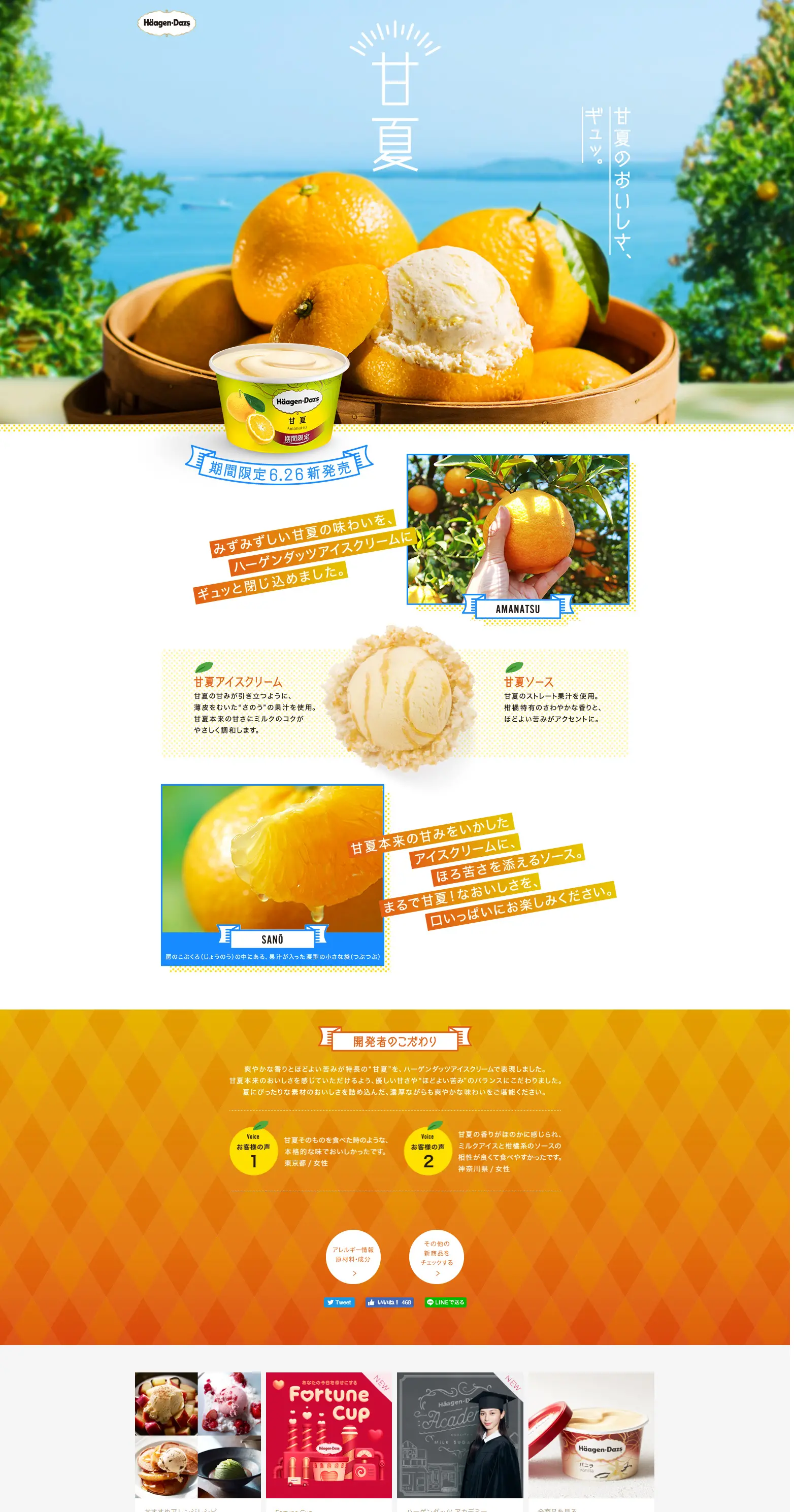 Haagen-Dazs "Amanatsu" LP design (Sweets and Snacks / Orange tones / Cute style) PC version