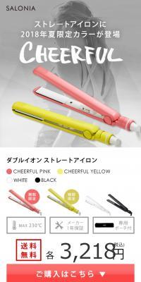 Double Ion Straightening Iron