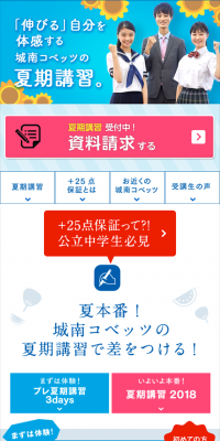 Summer Course