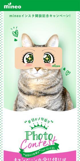 Mega-Mori Eyes