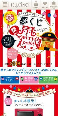 Felissimo Merry Point Dream Lottery