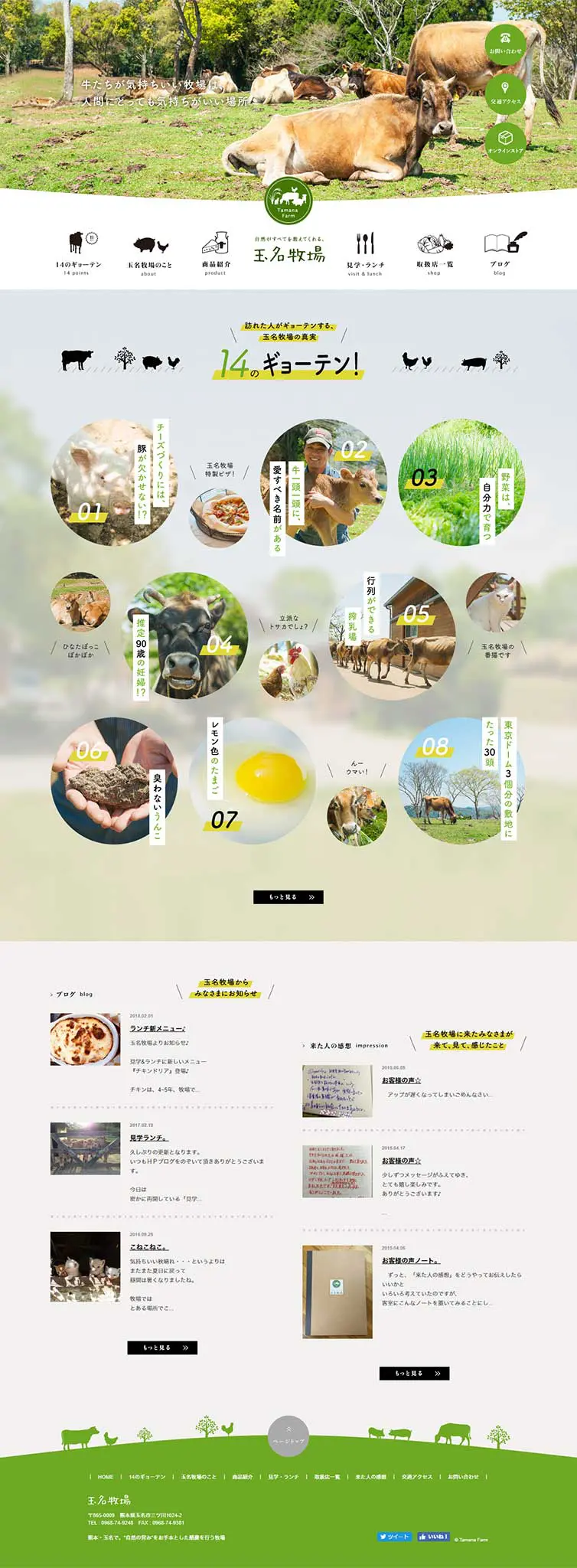 Tamana Farm LP design (Businesses, companies, stores / yellow / Cute style) PC version