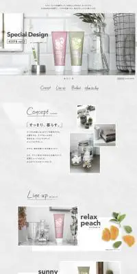 Special Design #2018 vol.2 | クリアクリーンのLPデザイン（日用雑貨／グレー系／かっこいい系）PC版