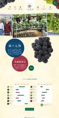 岡山の樹上完熟ぶどうのLPデザイン（食品／ベージュ系／信頼・安心系）PC版
