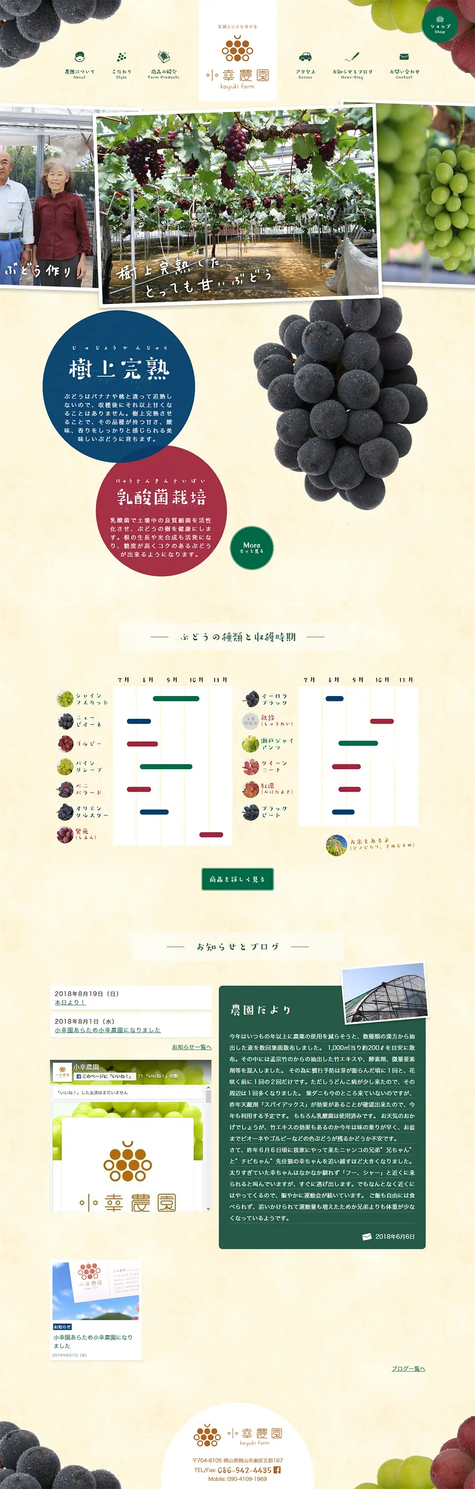 Okayama's tree-ripened grapes LP design (food / Beige tones / Trust and Safety) PC version