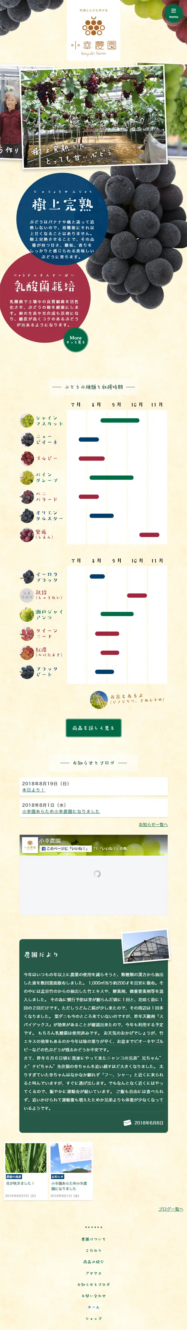 Okayama's tree-ripened grapes LP design (food / Beige tones / Trust and Safety) Mobile version