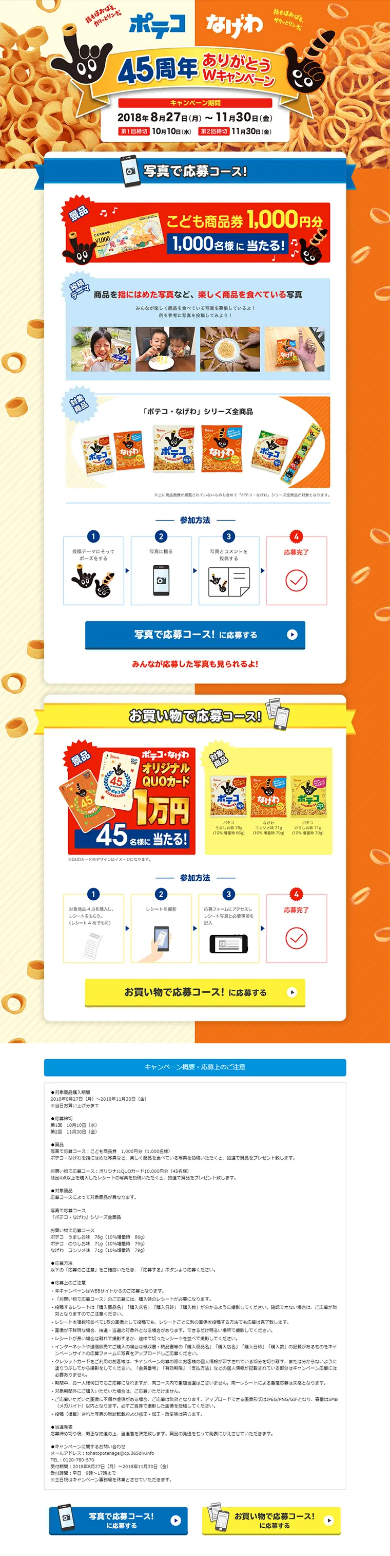 Poteko Nagewa 45th Anniversary Thank You Double Campaign LP design (Services, Insurance, and Finance / Orange tones / Lively type) PC version