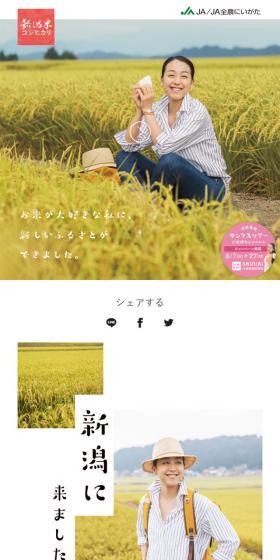 Niigata Rice Koshihikari x Mao Asada LP design (food / White-based / Simple) Mobile version