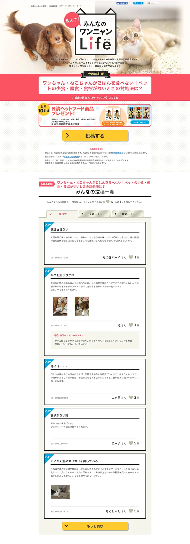 みんなのワンニャンLifeのLPデザイン（サービス・保険・金融／ピンク系／かわいい系）PC版