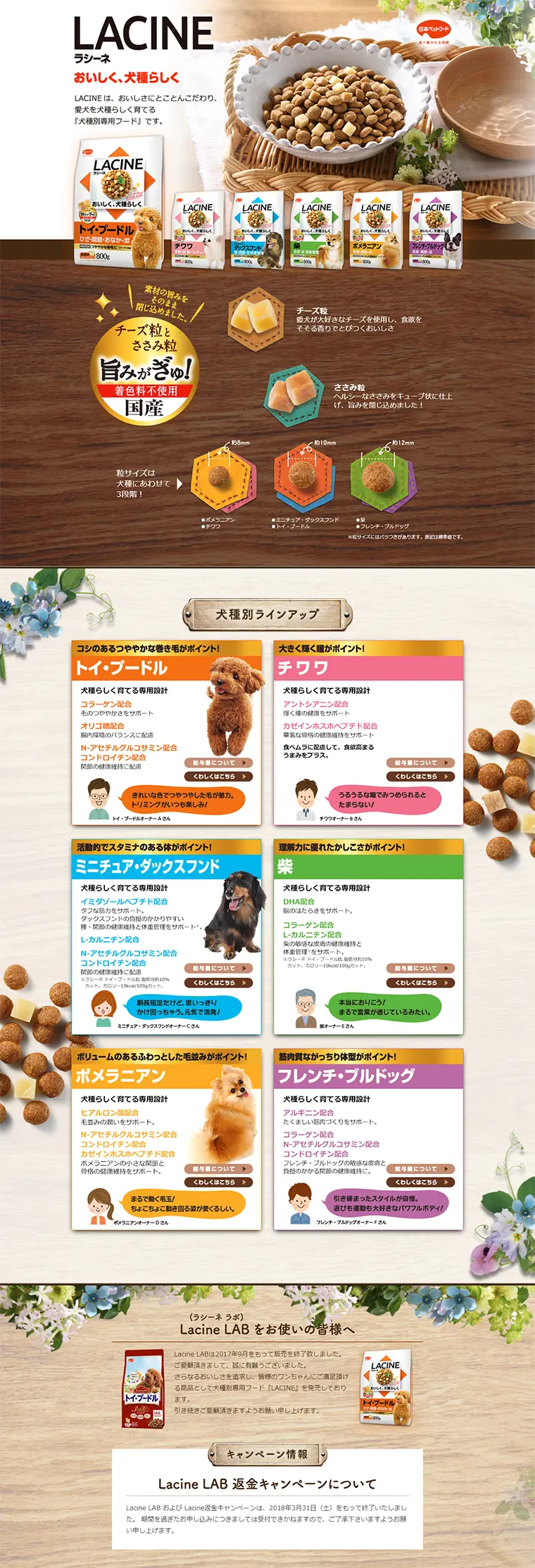 LACINE LP design (Pets, Flowers, DIY Tools / Beige tones / Lively type) PC version