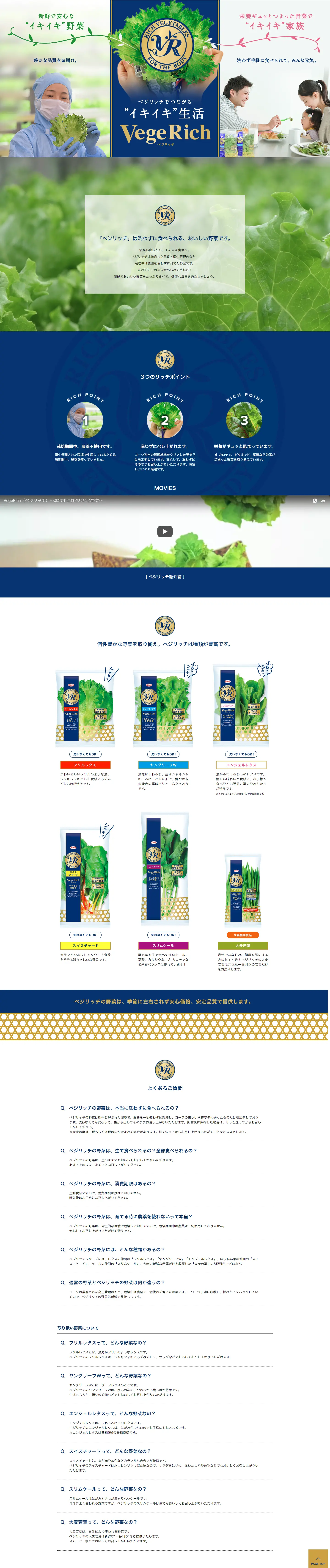 VegeRich LP design (food / Gold tones / Refined style) PC version