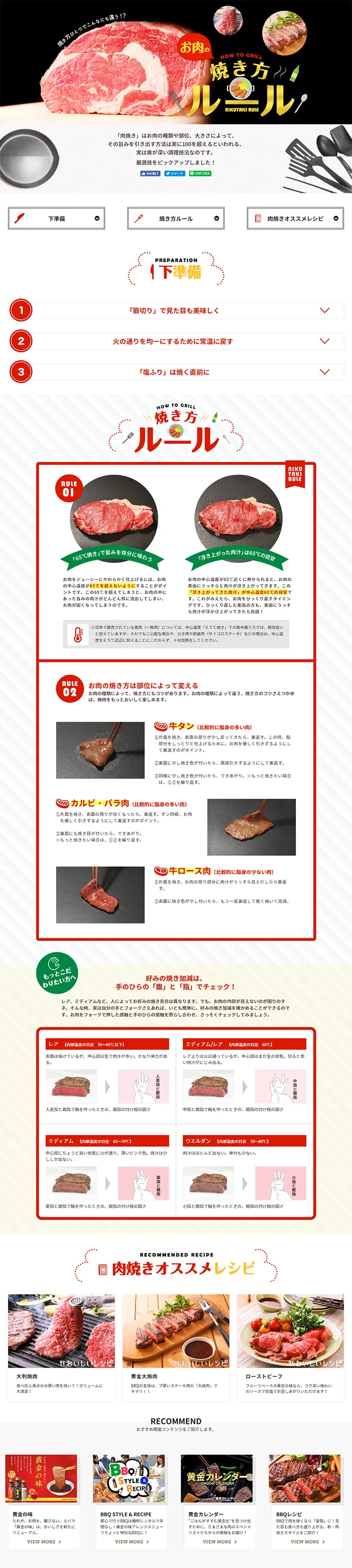 Meat Grilling Rules LP design (Internet service / Red tones / Refined style) PC version