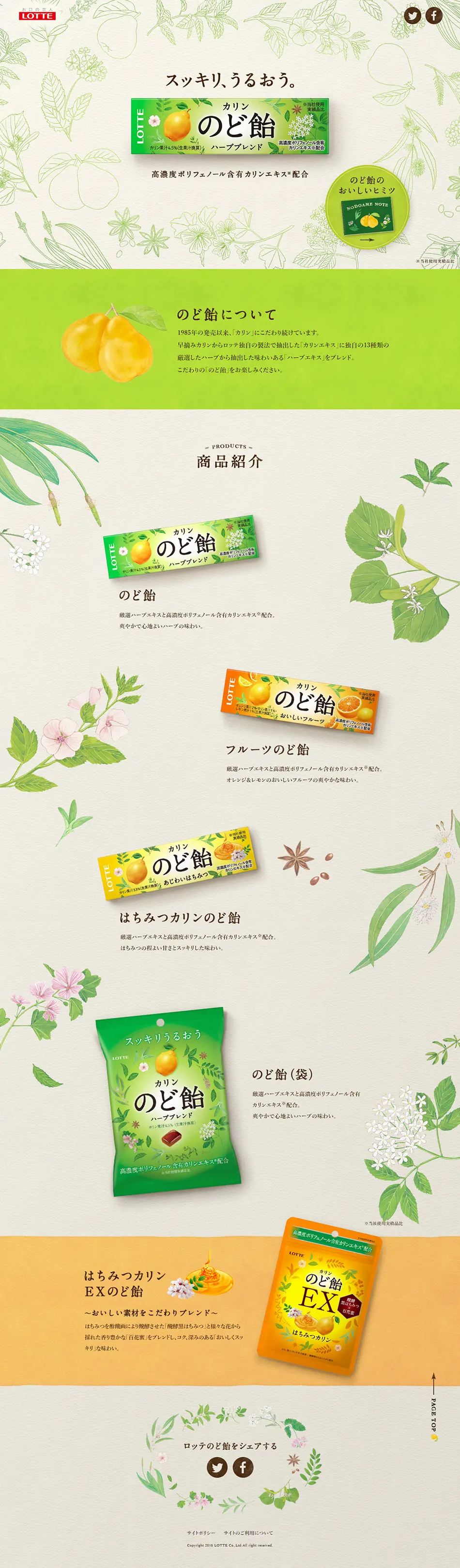 Lotte Throat Lozenge LP design (Sweets and Snacks / Green tones / Health and Wellness) PC version