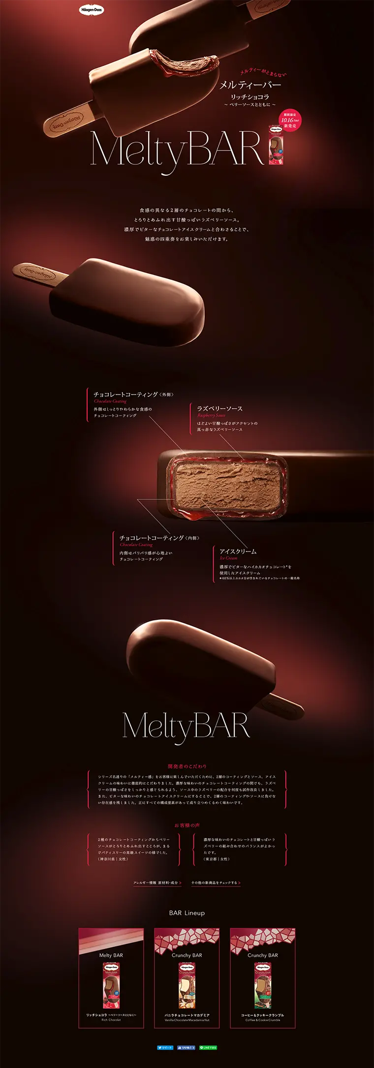 Melty Bar Rich Chocolate ~with Berry Sauce~ LP design (Sweets and Snacks / Brown tones / Arts) PC version