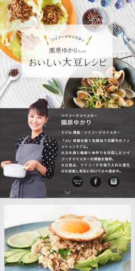 Delicious Soy Recipes LP design (Internet service / Shades of grey / Refined style) Mobile version