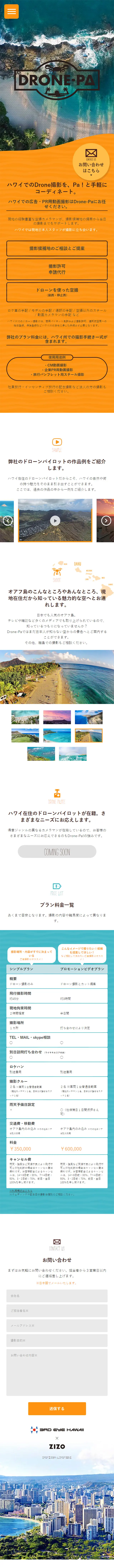 Drone-Pa! LP design (Services, Insurance, and Finance / Orange tones / Simple) Mobile version