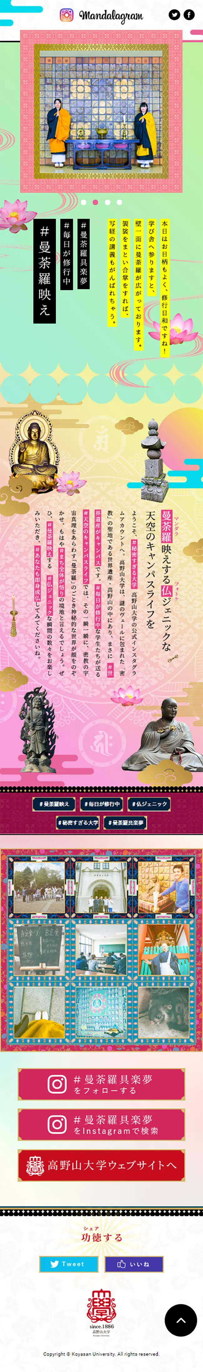 Koyasan University Official Instagram "Mandara Guramu" LP design (school / Green tones / Cute style) Mobile version