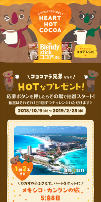 Coco Koala Brothers' HOT Gift Campaign!