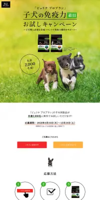 子犬の免疫力着目！お試しキャンペーンのLPデザイン（サービス・保険・金融／グリーン系／シンプル系）PC版
