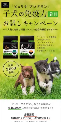 子犬の免疫力着目！お試しキャンペーンのLPデザイン（サービス・保険・金融／グリーン系／シンプル系）スマホ版