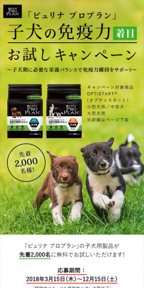 子犬の免疫力着目！お試しキャンペーンのLPデザイン（サービス・保険・金融／グリーン系／シンプル系）スマホ版