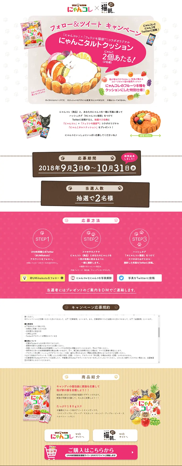 Take a picture of NyanColle and Nyanko together and participate in the Follow & Tweet Campaign LP design (Services, Insurance, and Finance / Pink shades / Cute style) PC version