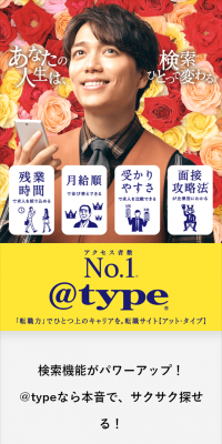 Job Search Website @type