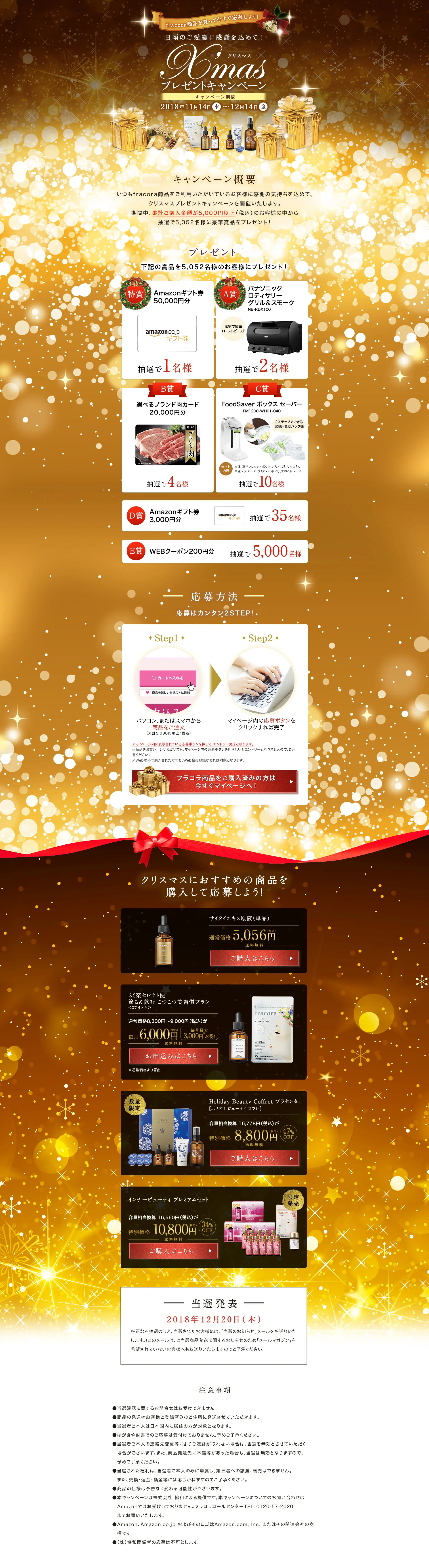 日頃のご愛顧に感謝を込めて！クリスマスプレゼントキャンペーンのLPデザイン（インターネットサービス／ブラウン系／キレイ系）PC版