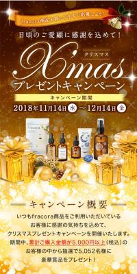 In gratitude for your continued patronage! Christmas Gift Campaign