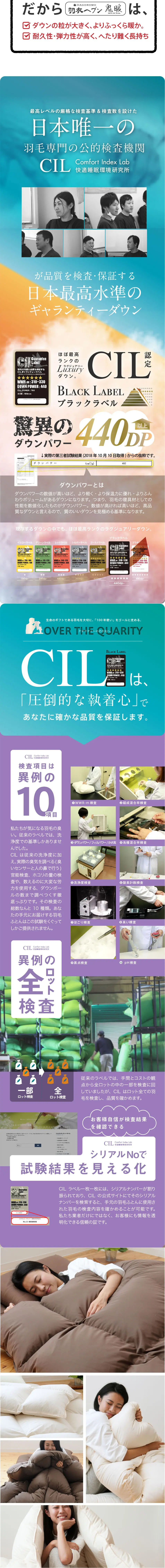 Hagoromo Heaven LP design (Interior, furniture, and bedding / White-based / Simple) PC version