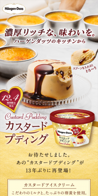 Custard Pudding