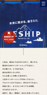 DESHIP (Long-term Internship)