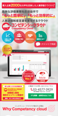 HR Evaluation System Competency Cloud