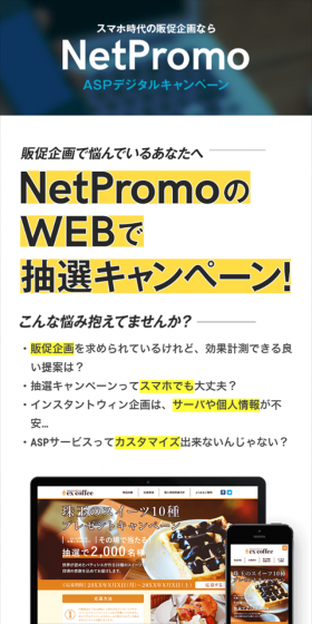 To you struggling with promotional planning - A lottery campaign on NetPromo's website