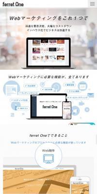 ferret One（フェレットワン）