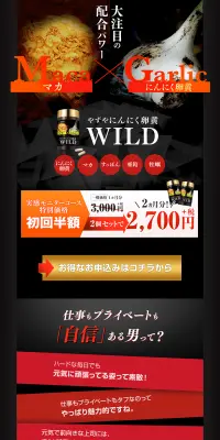 にんにく卵黄WILDのLPデザイン（健康・美容食品・サプリ／ブラック系／かっこいい系）PC版