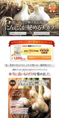 雪待にんにく卵黄のLPデザイン（健康・美容食品・サプリ／ゴールド系／にぎやか系）PC版