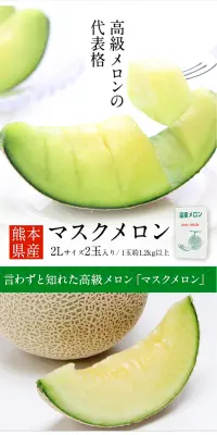 熊本産 マスクメロンのLPデザイン（食品／グリーン系／シンプル系）PC版