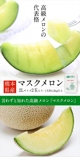 Kumamoto-grown Musk Melon LP design (food / Green tones / Simple) Mobile version